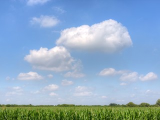 Obraz premium Wolken in blauem Himmel
