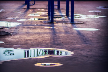 A puddle of water. The sun was intercepted from the eyes by cloud.