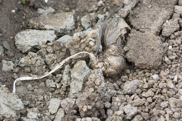 Improper connection of two cables between stones.