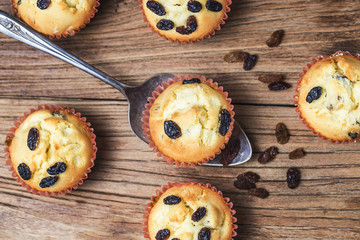 Healthy bran and raisin muffins with chocolate milk,Raisin Muffin