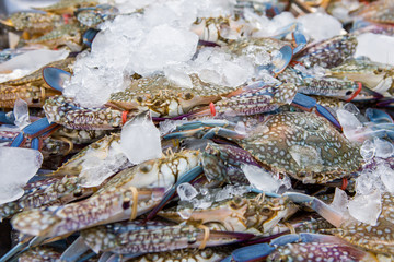 Crabs are sold in the Thai seafood market.