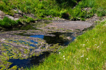 Water drain in the canal. Green algae in water surface.  Environmental pollution