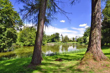 Beautiful Landscape Of Pond