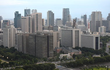 日本の東京都市風景（霞が関の官庁街やビル群など）
