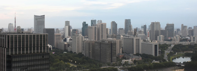 日本の東京都市景観（霞が関の官庁街やビル群などを望む）