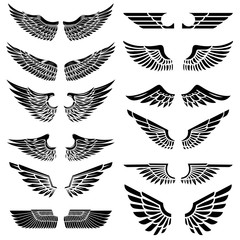 Set of the wings isolated on white background. Design elements for logo, label, emblem, sign, badge. Vector illustration