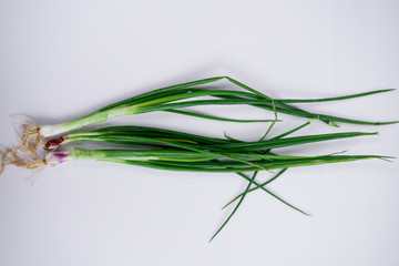 Obraz na płótnie Canvas Fresh garden herbs. Spring onion. Isolated on white background isolated on white.