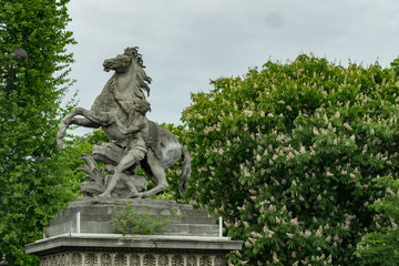 Horse Statue in Paris France - 165254687