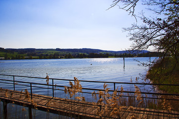 Steg zum Rhein