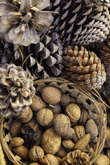 Dried walnuts in a Christmas basket