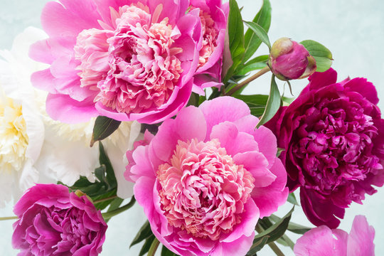 Peonies. Beautiful bouquet of pink white and purple peonies in vase on bright background. Closeup shot selective focus. Wedding bouquet, Happy Mothers day gift, women's day gift, Greetings card 