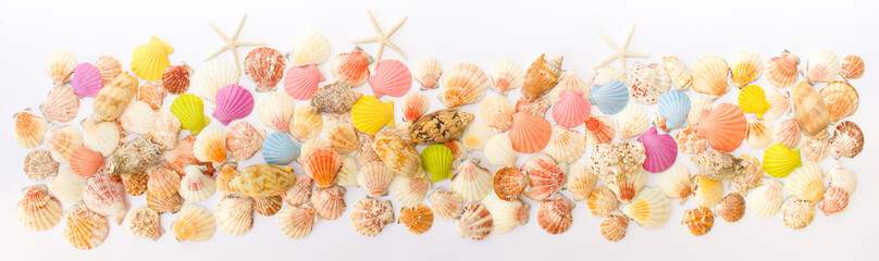 Composition of exotic sea shells on a white background. The view from the top. Place for your text.