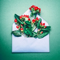 Blue opened envelope with red autumn Rowan berries and branches on green background, top view
