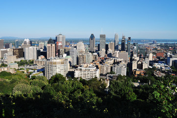 Fototapeta na wymiar View from the Mont Royal of downtown Montréal skyscrapers during a green and sunny summer