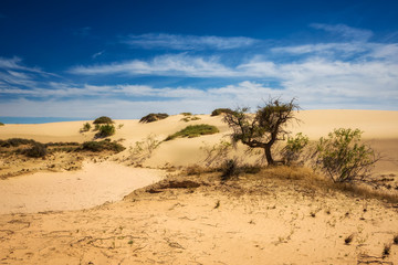Mungo National Park, Australia