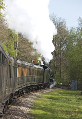 Fototapeta na wymiar Steam locomotive pulling a passenger train, West Sussex, England, UK.