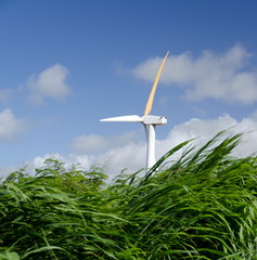 Wind turbines near Upolu Point, Big Island, Hawaii
