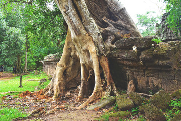 Obraz premium ancient