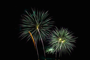 Annual International Fireworks Festival