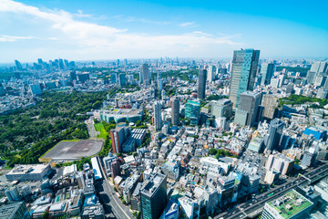 Fototapeta premium Krajobraz Tokio