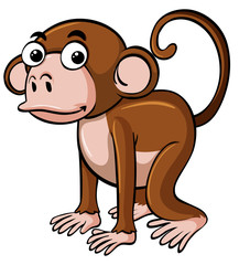 Brown monkey with happy face
