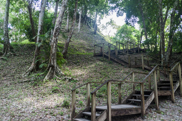 Stairs leading the the ruins covered by thick jungle at the archaeological site Yaxha, Guatemala