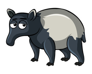Anteater with sleepy eyes