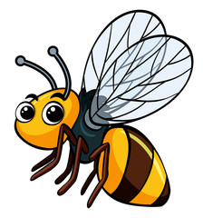 Bee flying on white background