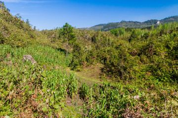 Fototapeta na wymiar Landscape near Yalambojoch village, Guatemala