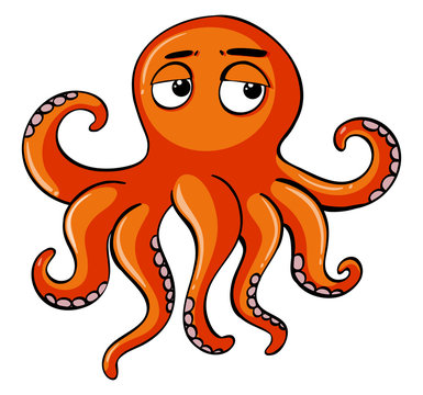 Orange octopus with sleepy face