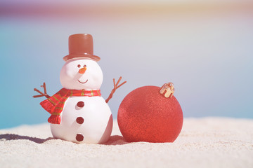 New Year celebration