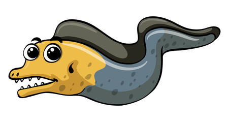 Eell on white background