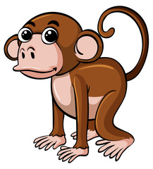 Cute monkey with happy face