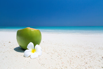 Fresh coconut juice decorated tropical plumeria flower