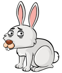 Rabbit with sleepy face