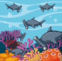 Scene with hammerhead sharks in the ocean