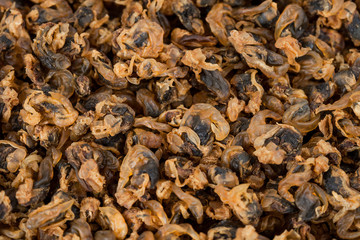 sea food sweet dried clams on background