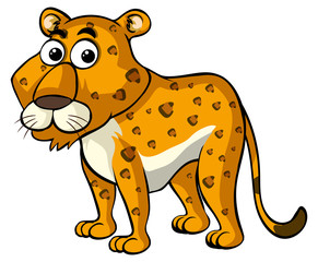 Obraz premium Cheetah on white background