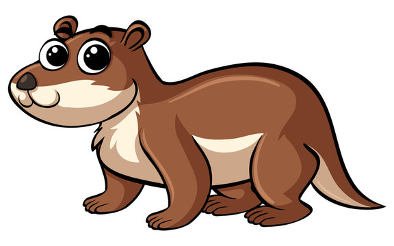 Brown beaver with cute face