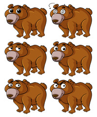 Bear with different facial expressions