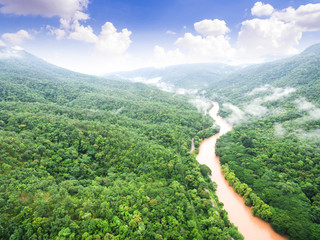 Aerial view of beautiful tropical forest with the river, Shot from drone