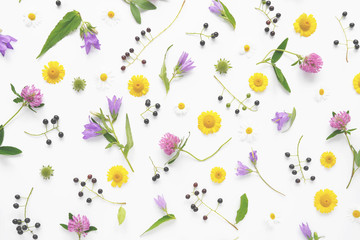 Flower pattern of wildflowers. Composition of flowers and plants. Top view. Floral abstract background. Flower concept. Bright multicolored flowers isolated on white background.