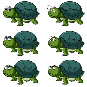 Turtle with different facial expressions
