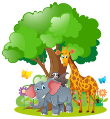 Obraz na płótnie Canvas Wild animals standing under the tree