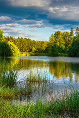 A clean calm lake on a summer evening among trees in the forest, the concept of ecology, travel,...