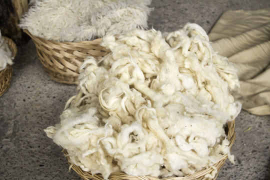Sheep wool natural