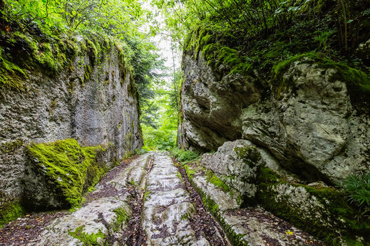 ancien octroi dans la for&ecirc;t du Jura