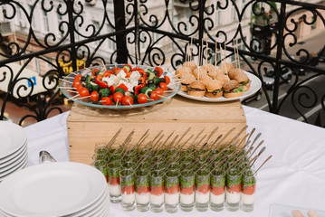 Canape, snacks, salads on the wedding ceremony