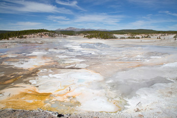 Norris geyser basin