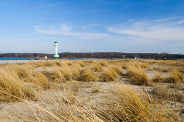 Strandhafer am Strand von Falkenstein